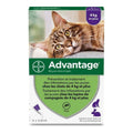 Antiparásitos Advantage Gato Conejo +4 Kg 4 Unidades 0,8 ml