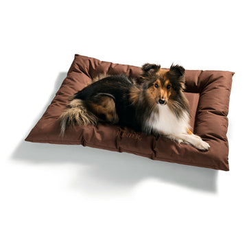 Cama para Perro Hunter Gent Antibacteriano Marrón 100x70 cm