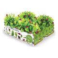 Set de Cultivo Batlle Baby Leaves Ensaladas 40 x 29 x 10,5 cm 2,6 Kg