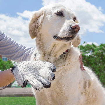 Guante para Cepillar y Masajear Mascotas Relpet InnovaGoods